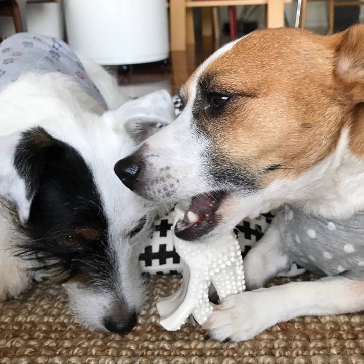 4fd16121 f70b 4907 98d6 c140c378b87e