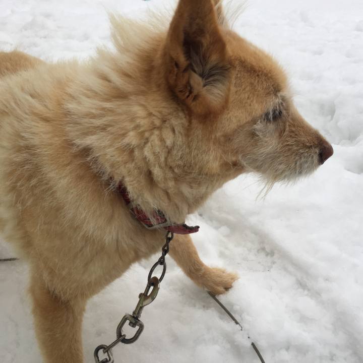 4fd20556 16dc 422a adf2 e29a685a495f