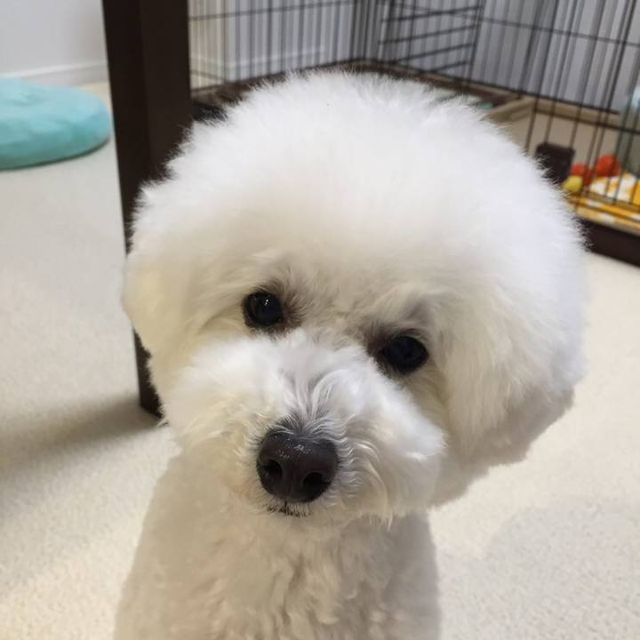 4fd2228f 7759 457b 961f fa3a6da5bf6d