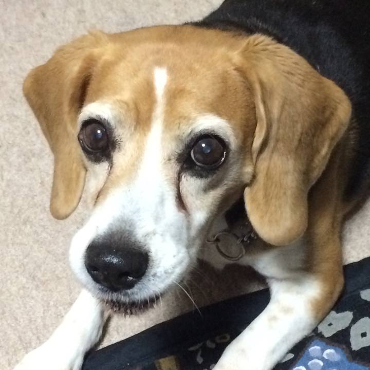 4fd22699 6113 4ada 8ff5 9418acb813a4