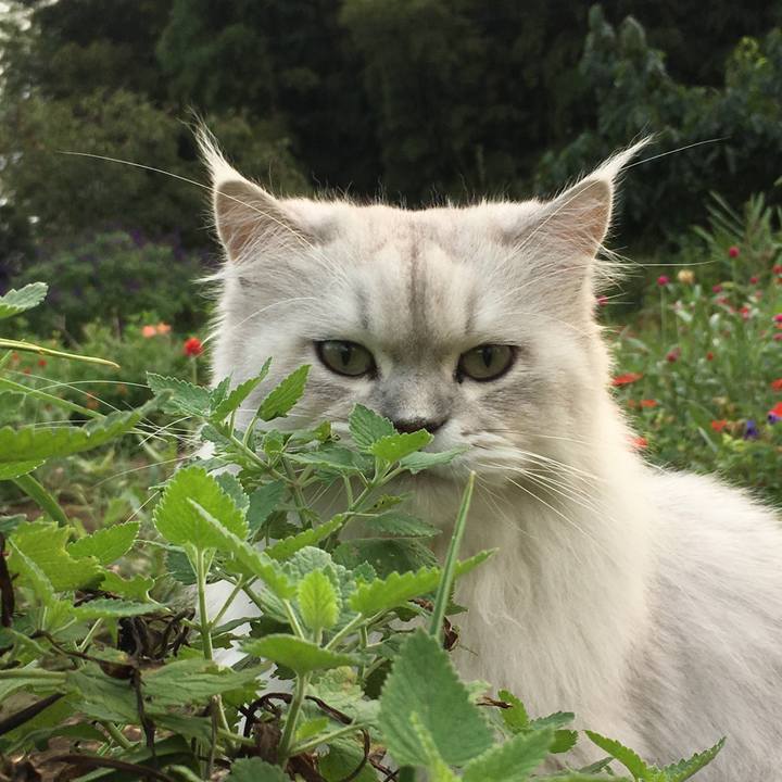 4fd23197 954f 4b5f 8878 a91d1414ef86