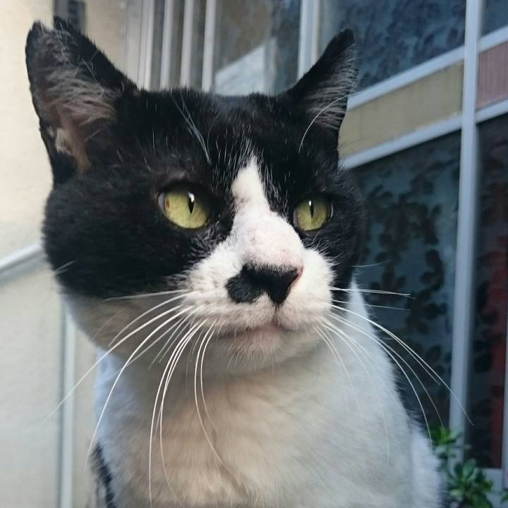 4fd2457b c88a 466a 8b64 490d1a99b99d