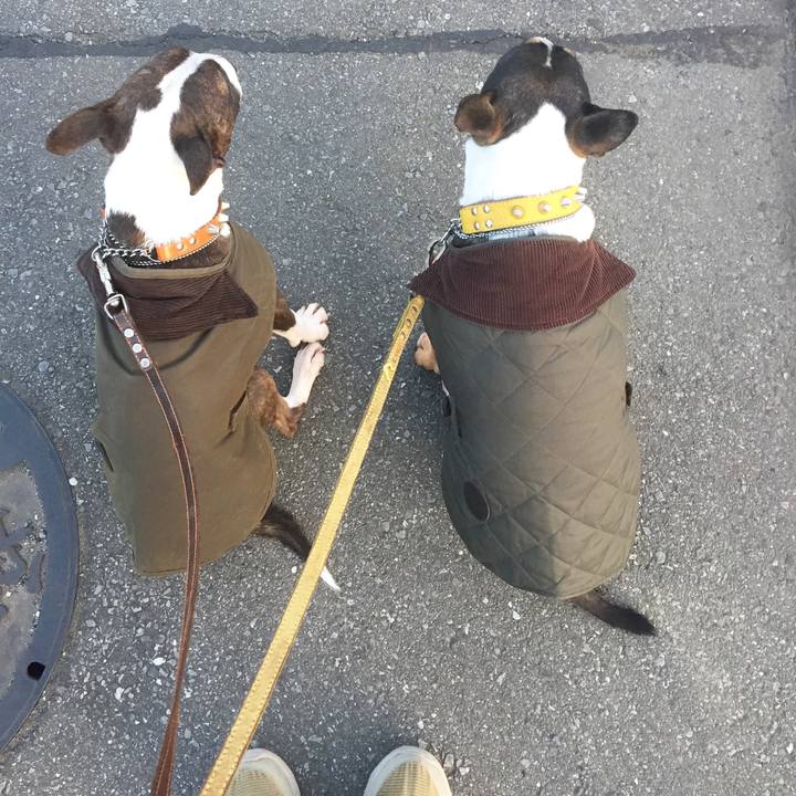 4fd24fc7 a83f 493c 8e12 057d9bf636a2