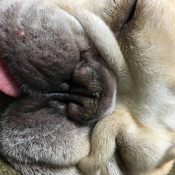 4fd3d3a8 74b7 4bc8 b990 1749c52ae841