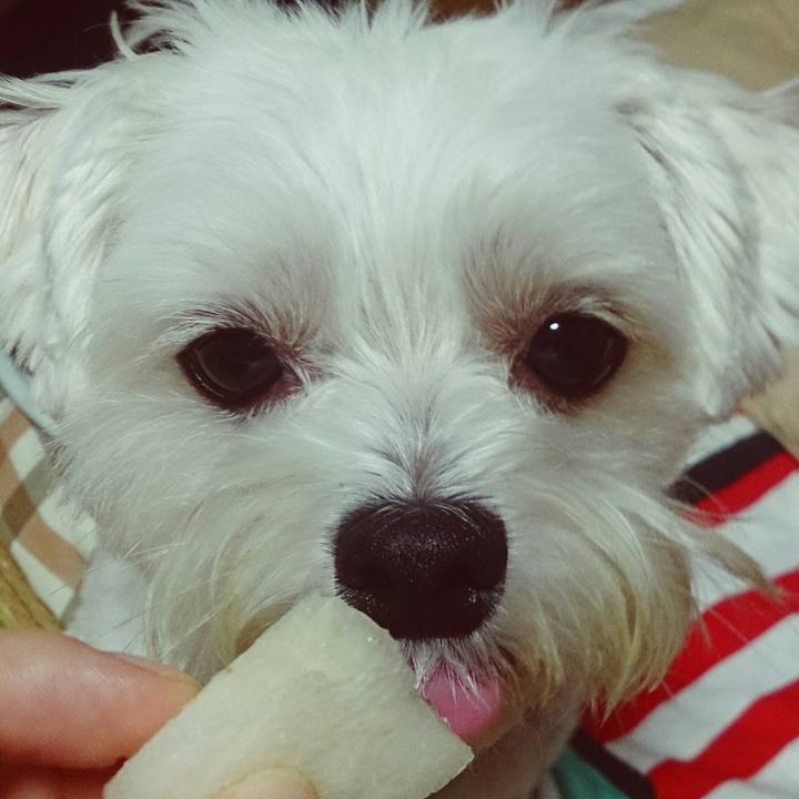 4fd46bfe 9301 42ed 8052 5d7f9e472ea6