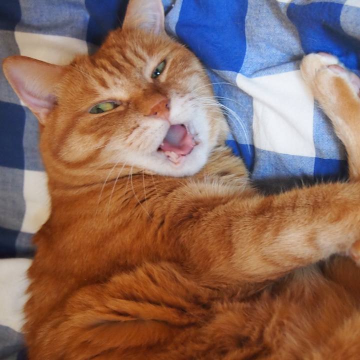 4fd48837 2bd3 488a 9855 e05152de8c19