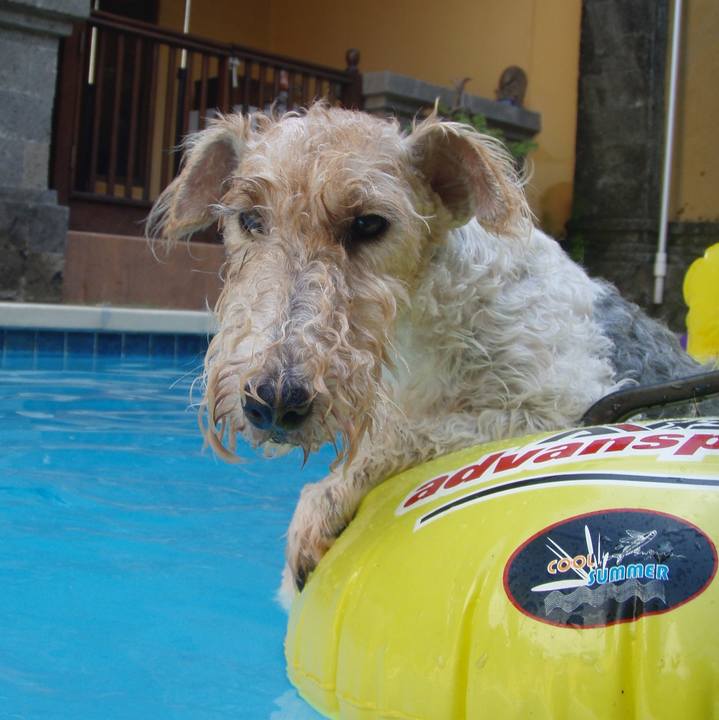 4fd4d1c4 298f 4aee 8265 f48292657086