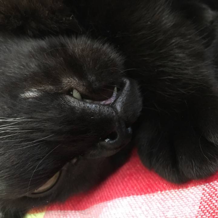 4fd52519 e33b 4ece a741 6ec6d3411be0