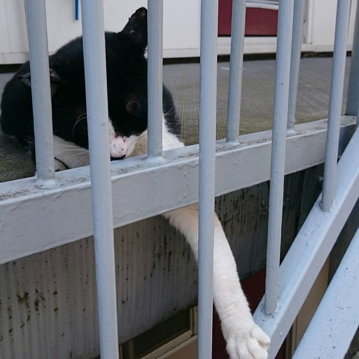 4fd57fb3 c034 40a3 ad75 3e69d36b69a0