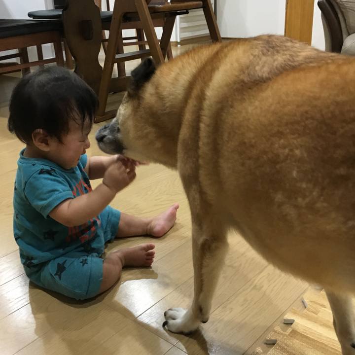 4fd5fdd4 9061 4913 ba2e e65817f8492f