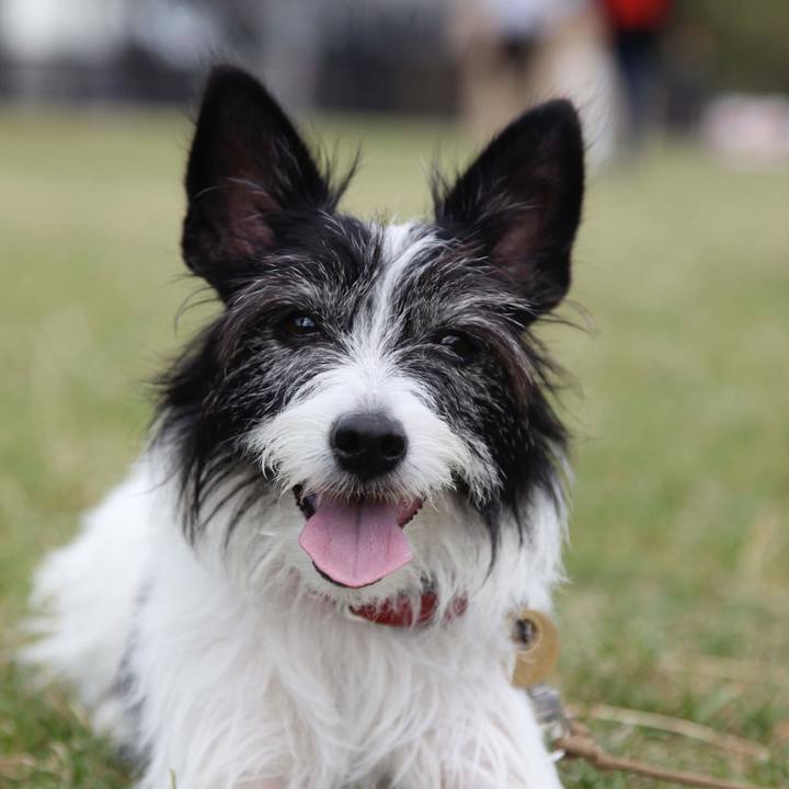 4fd6c611 26ed 47df 80a5 a3a3ffe9d5d6