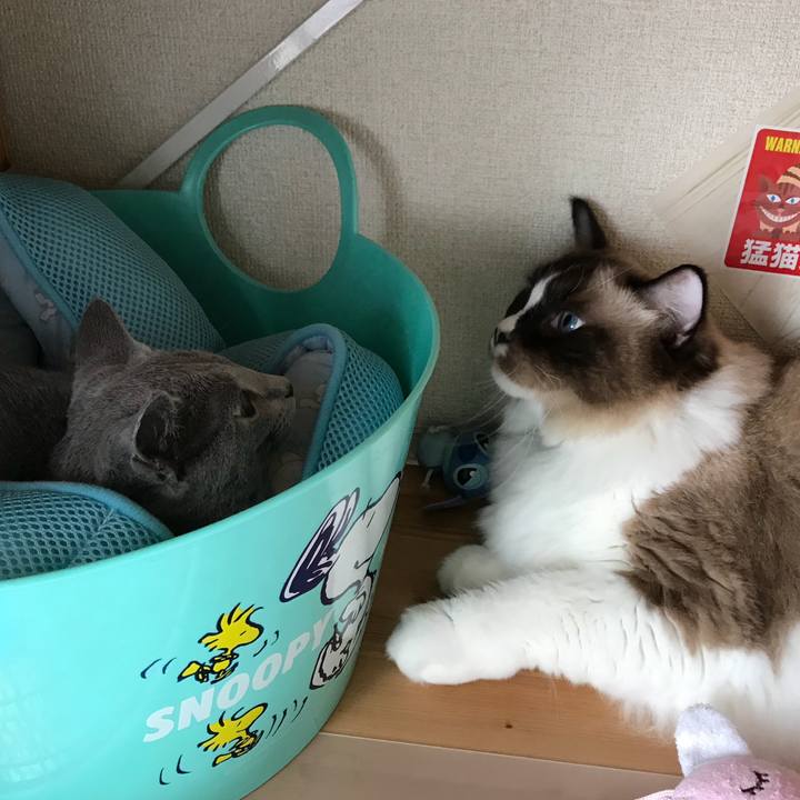 4fd6d049 2086 4e5d 9f71 059f940786c7