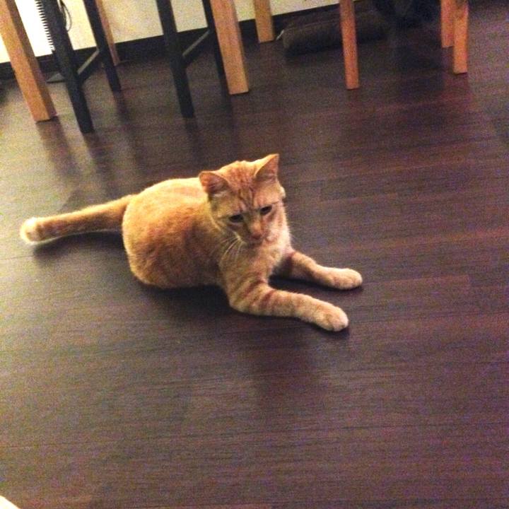 4fd88105 11d7 4c70 b609 0df3a281bca7