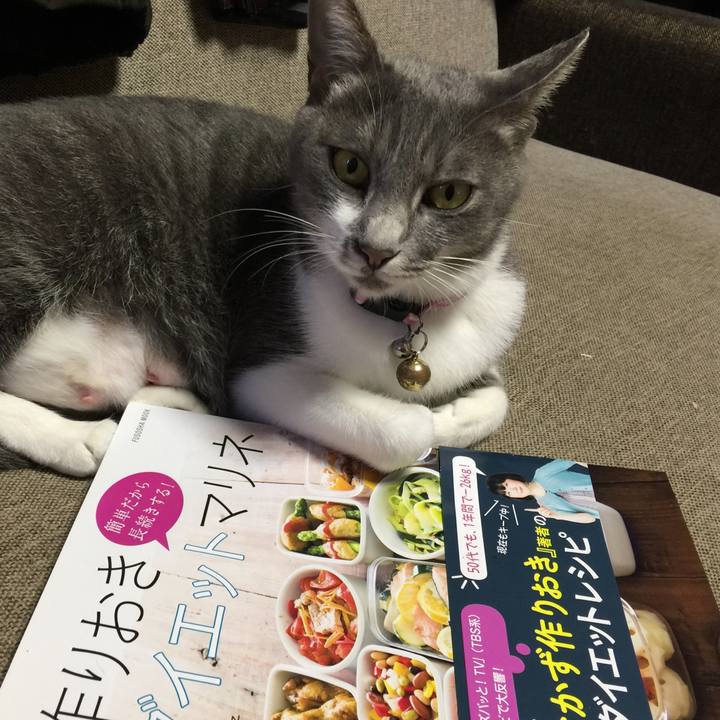 4fd95085 ebd4 461c 9cbb a0290c8fd5b8