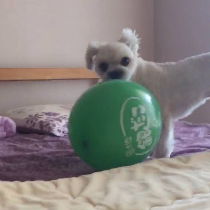 4fd9a259 6a20 4746 bb90 ab9b01f790e2