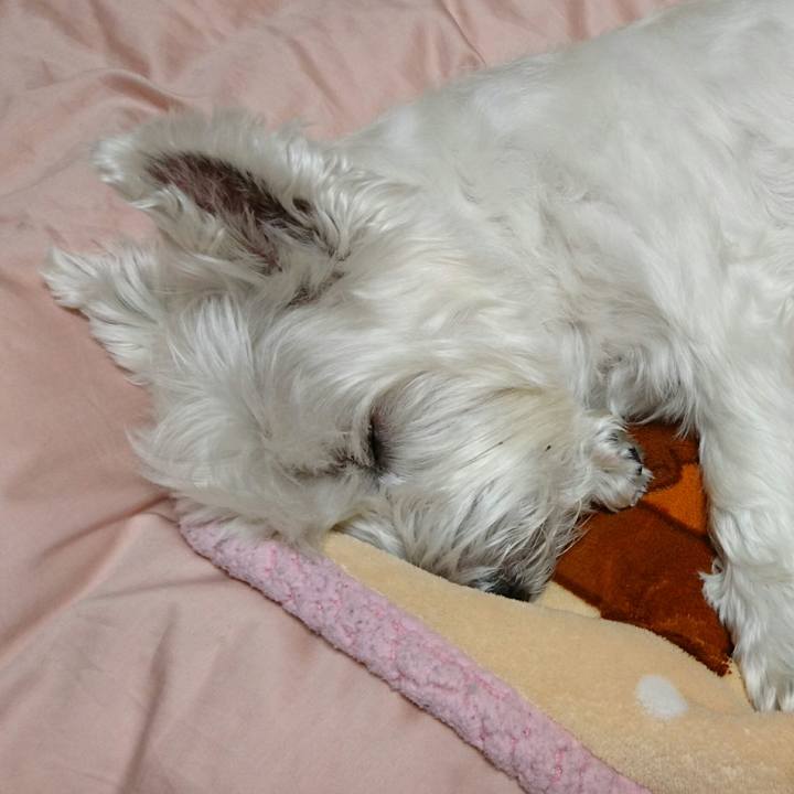 4fd9c59a ed3b 4cca 8d9c 6fbde15fa2e3