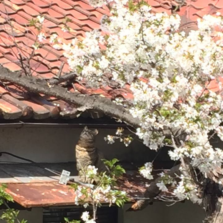 4fd9d611 d707 4a60 9fd5 72c51fde6d66