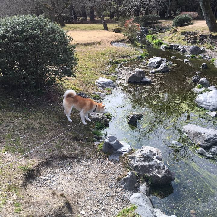 4fda0b5b 97a5 4771 9d57 93494957a0f9