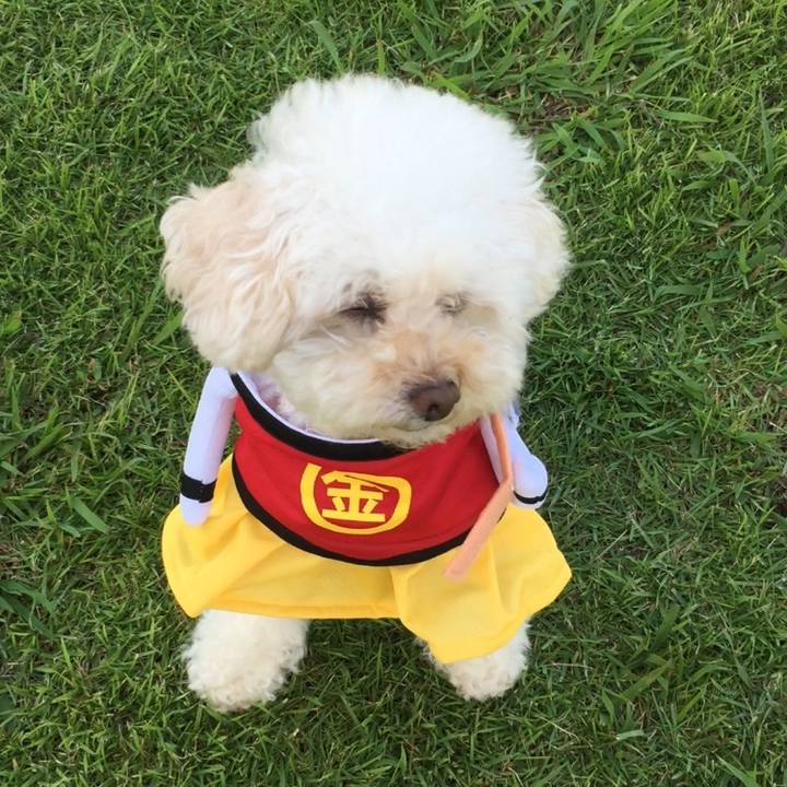 4fdb5b7b a69e 4acc 956d 0005812183db