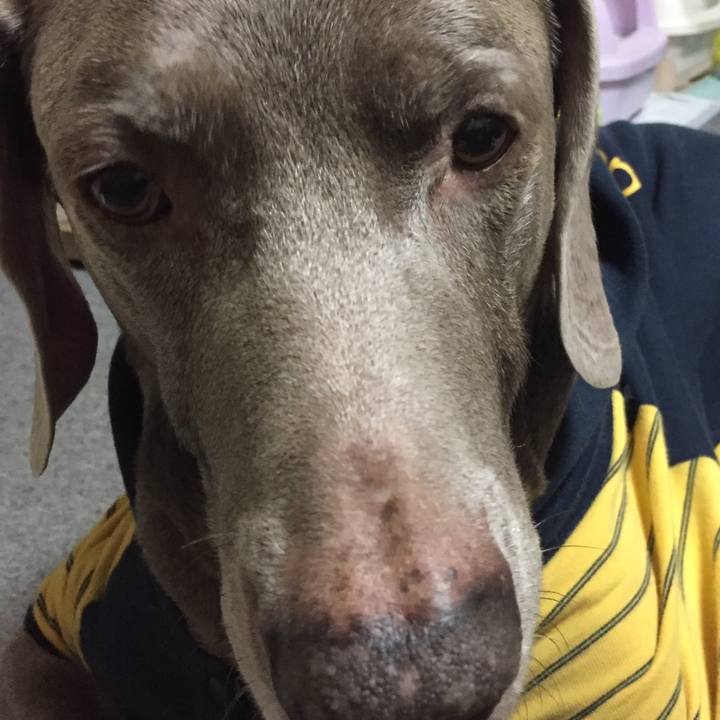 4fdbafa6 bf73 42b8 84b5 be04bdf63b88