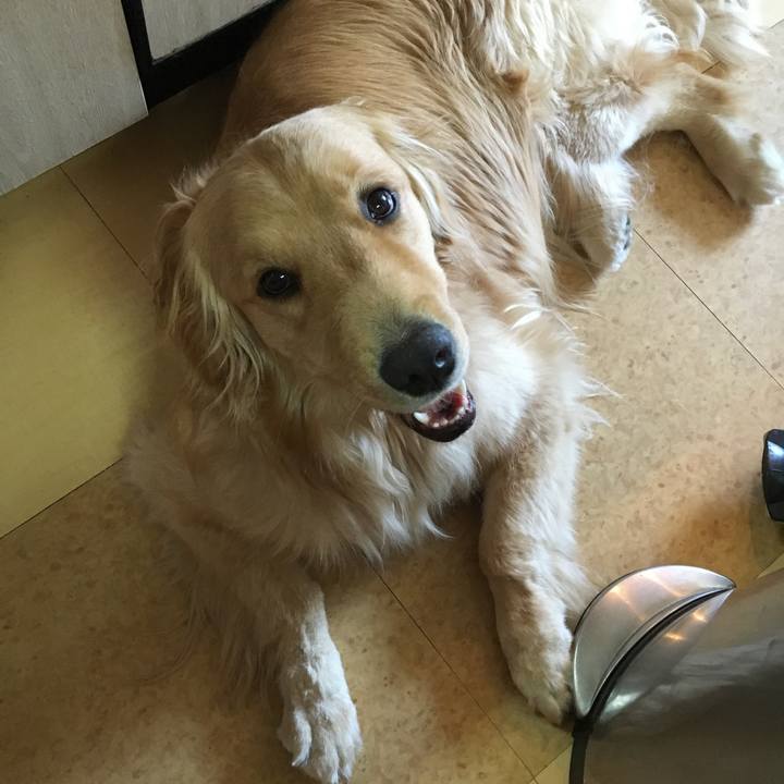 4fdbf211 2383 4289 a0e2 dde2030d2aa6