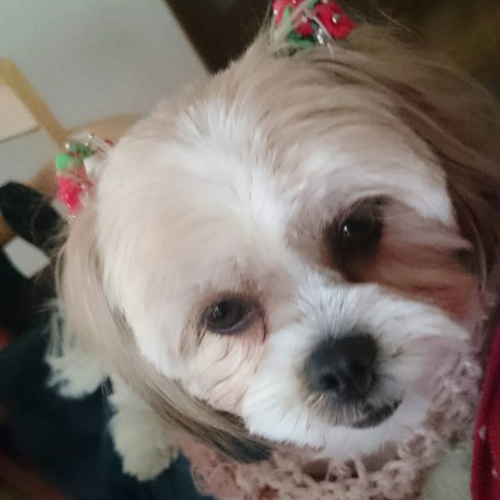 4fdc2cd6 370e 4edd 80a5 a94c89a862b6