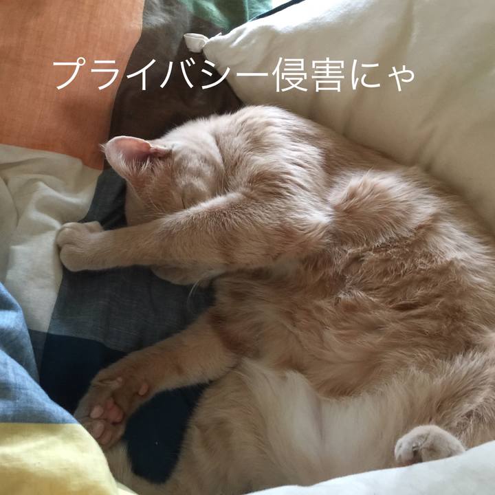 4fdc7889 b2bd 4a3e 9afc 81618c81233d