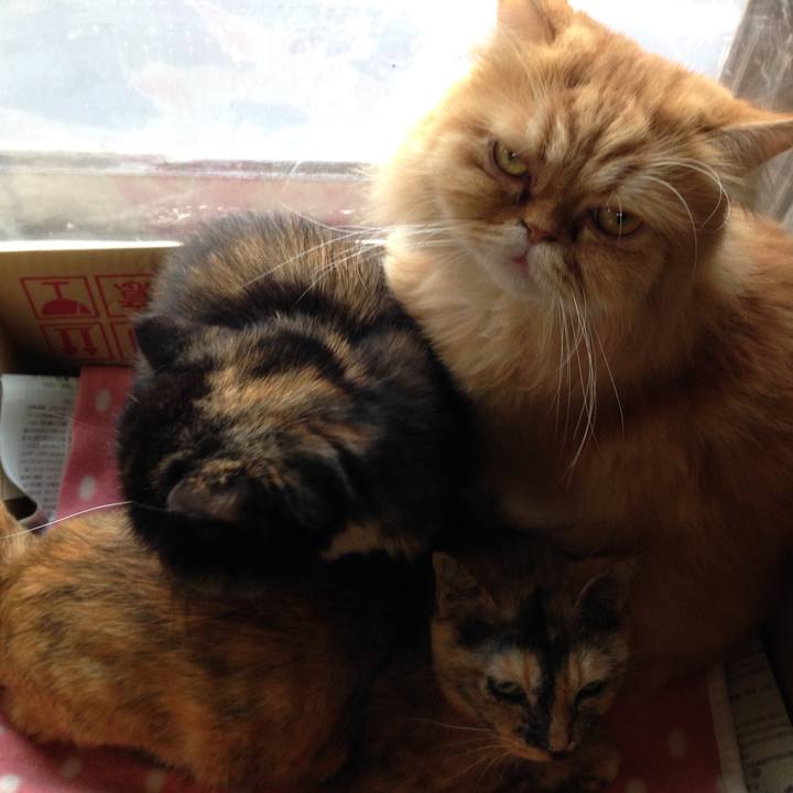 4fdd7bb9 9ae6 4125 806f 35550557dda9