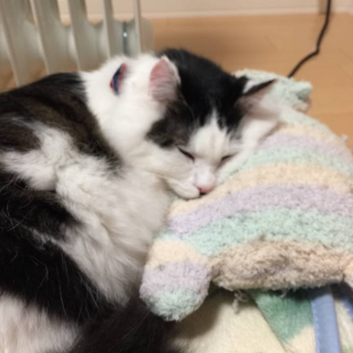 4fdd7db5 4878 41de 906a b322afd4ff18