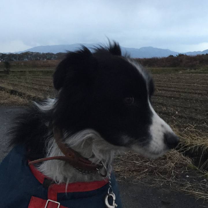 4fde078a 56e3 423e 8c24 5683c5bf0174