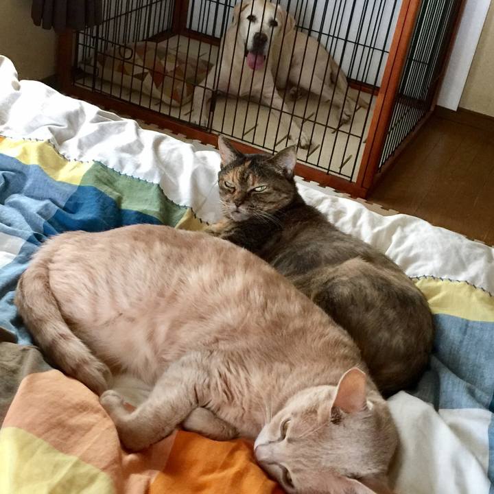 4fde134b dccf 4823 bf73 bf4367537151