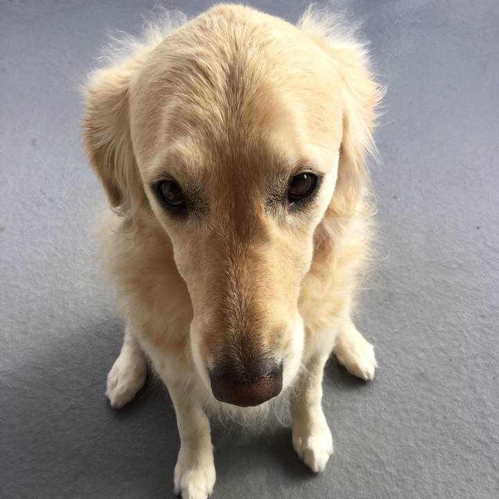 4fdf0cc3 0b63 4253 94e9 b1fcf87c7e76