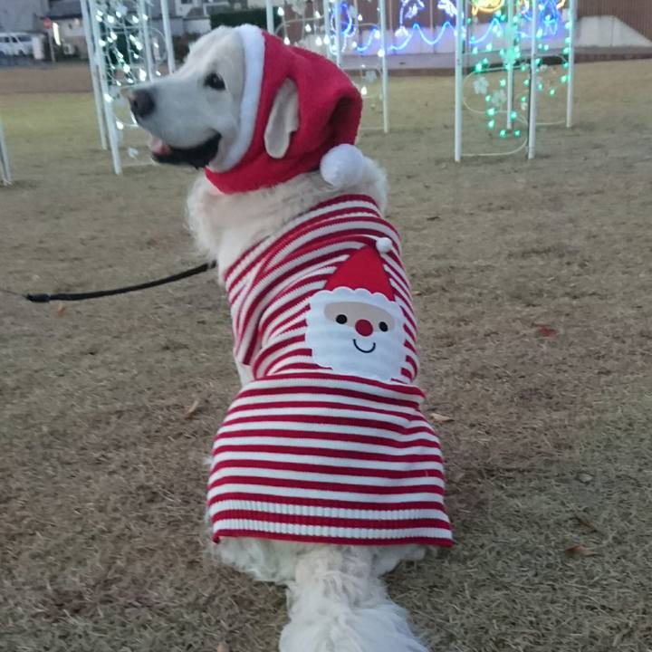 4fdf42a0 7497 4a19 a567 2d080bacd115