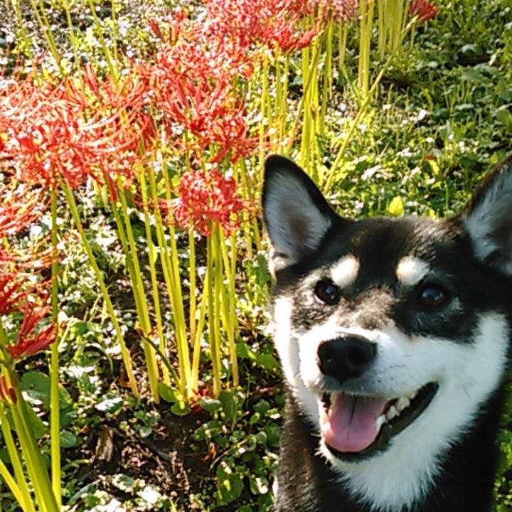 4fe1f9b8 4cb7 4a38 9ff6 c19bbec33402