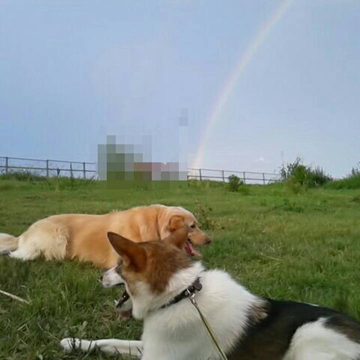 4fe229d0 8fd4 41d0 bbf1 589feb0f8592