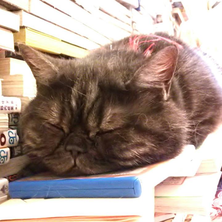 4fe24b43 e927 424c 8a00 4a6b39cb64ca