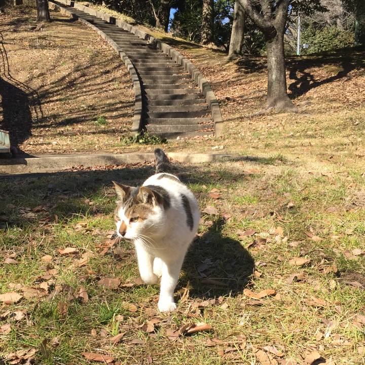 4fe2a77d 21b3 4708 ace8 d70e661b199b