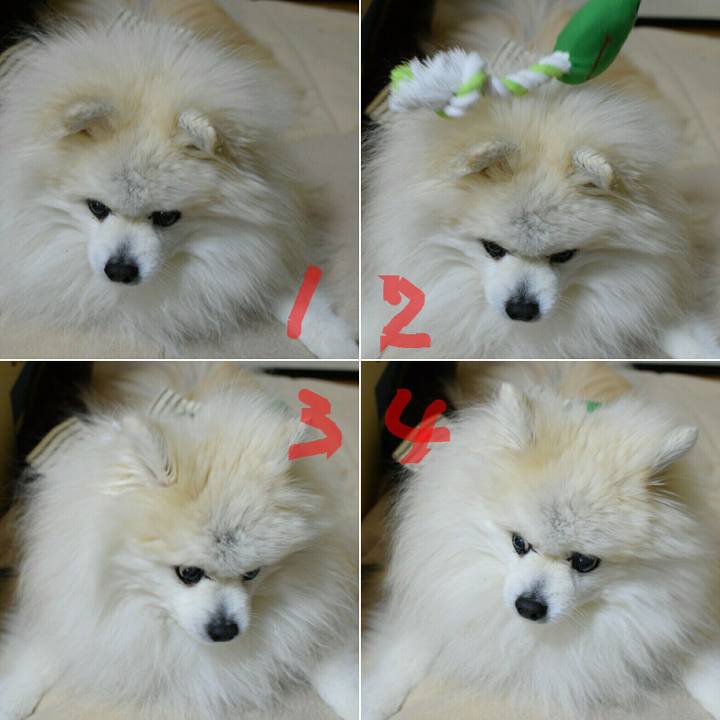 4fe2d0f6 bf39 4a4e 8f36 9724c1dfaab7