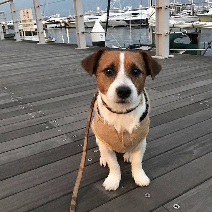 4fe3da3c d7cf 4504 987b 8264439c5b45