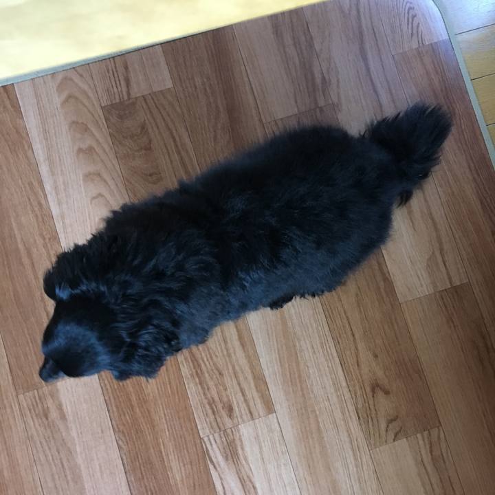 4fe45475 6fcd 4c49 9524 46d747193481