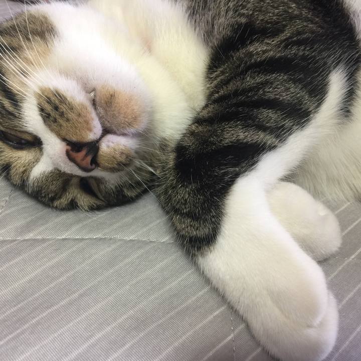 4fe4a9dd fff5 440b 8ece c7d543ffec1d