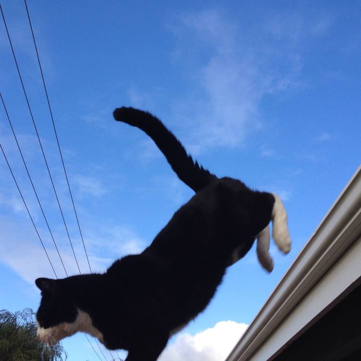 4fe4afcd 8840 4a6d b760 d835131067ee