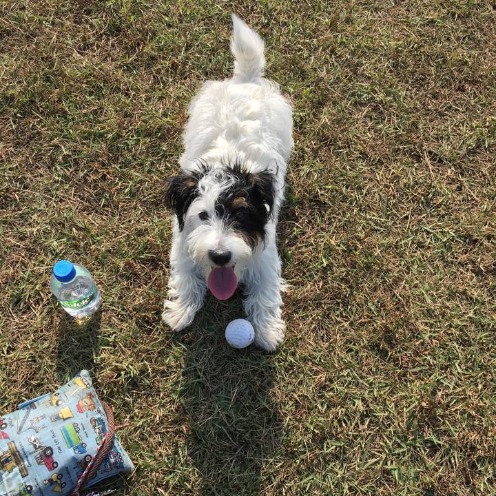 4fe4bb6a 1f1e 4597 b256 2deafd60d7a3