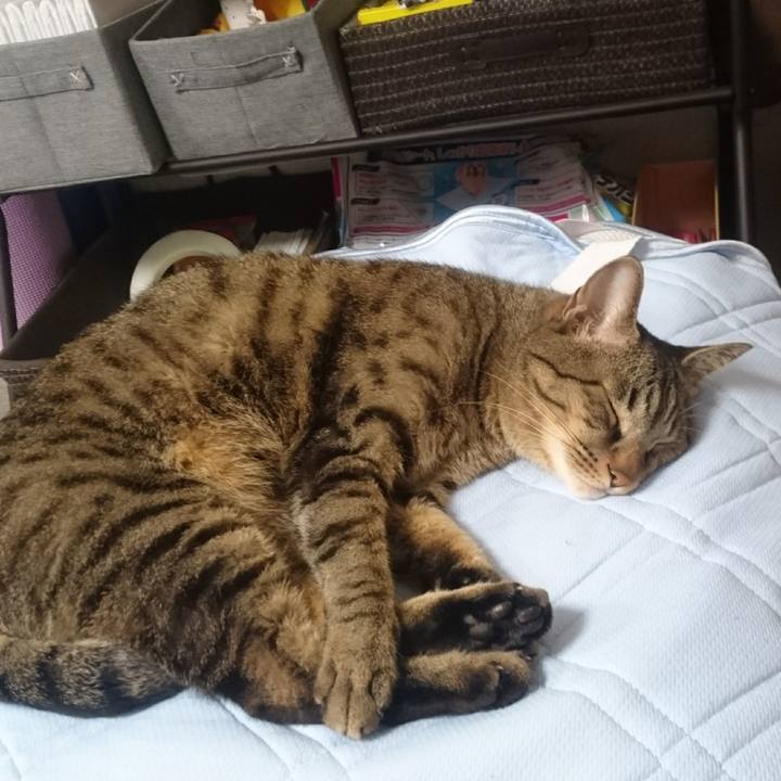 4fe51176 db8b 4e3a 9efa 03f58689d3b8