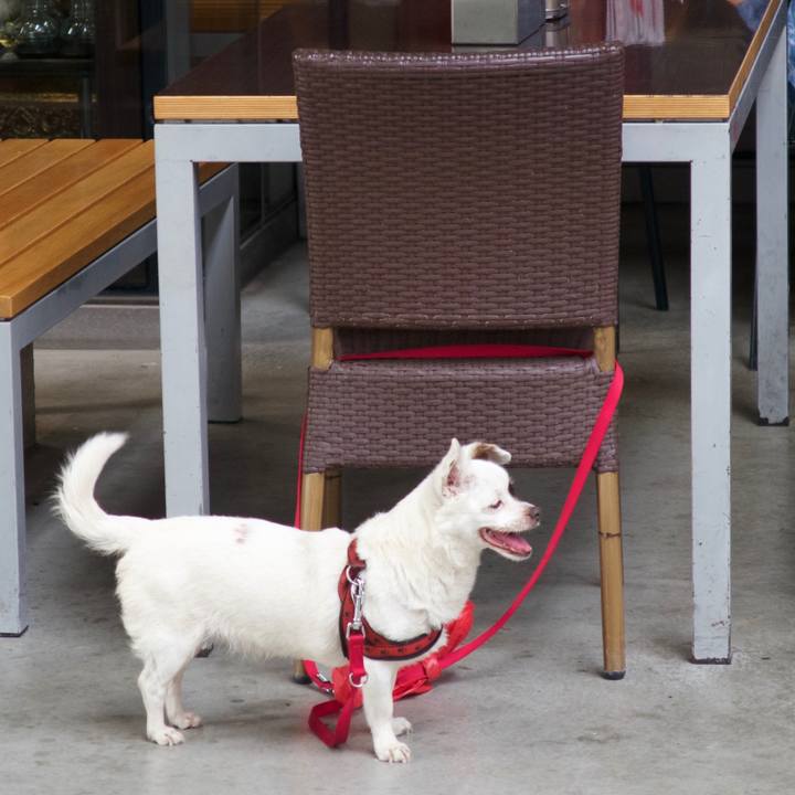 4fe5f612 288a 44ba afbc 231956a8baf9