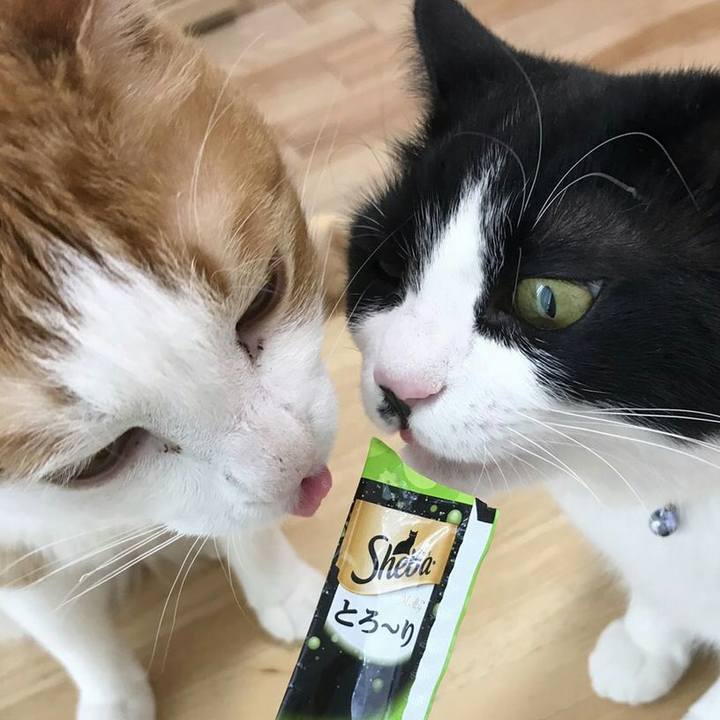 4fe5ffba 9b27 4a66 bd77 2935c8d24cb2