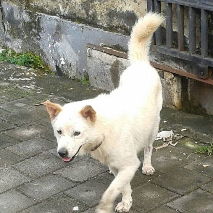 4fe6855f 9d1f 4376 a9eb aed89c64e6a2