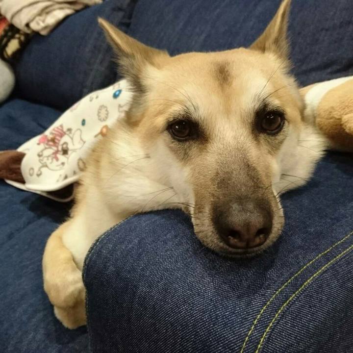 4fe68d35 88cb 4b57 b8e3 739ef620de38