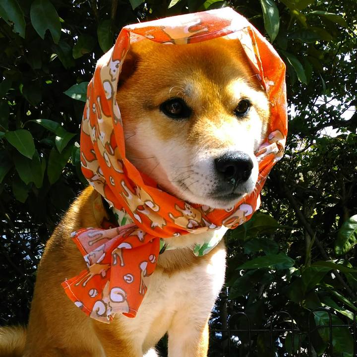 4fe6c3ef 80cb 481b 97f8 4c55d39fdbcf