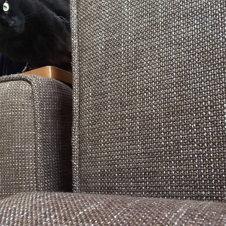 4fe73d53 ccf2 4317 befe 0b13f7e975aa